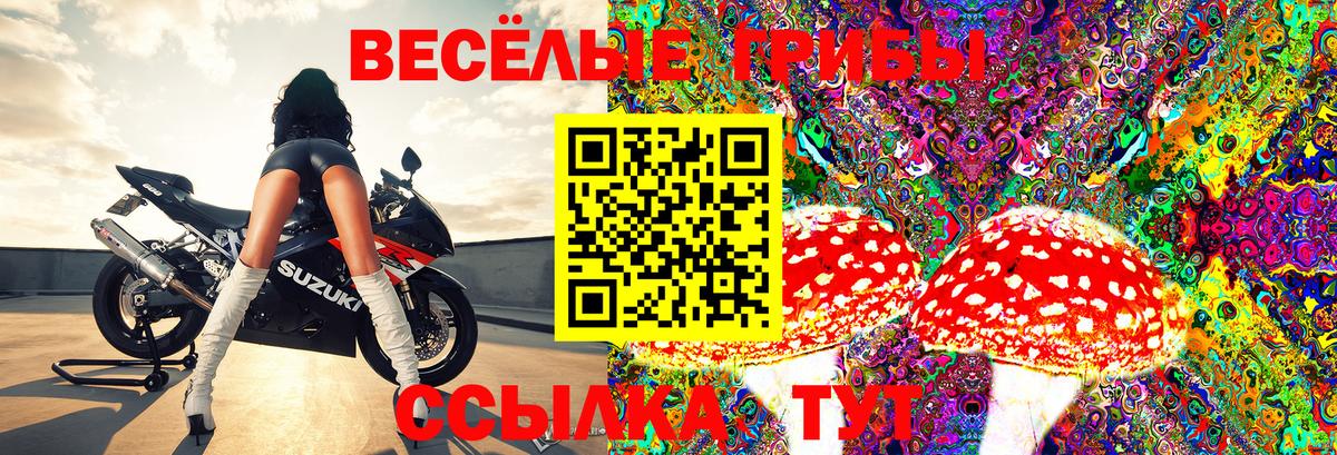 Галлюциногенные грибы прущие грибы  Вход с VPN  наркотики  Псилоцибиновые грибы Magic Shrooms  Энгельс 